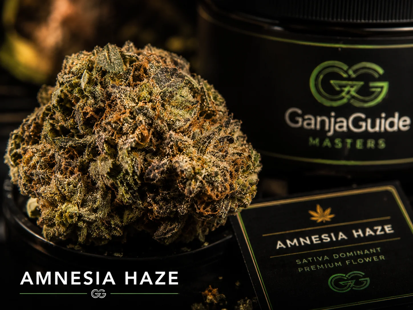 Illustratieve macrofoto van een gelabelde Amnesia Haze cannabisbloem