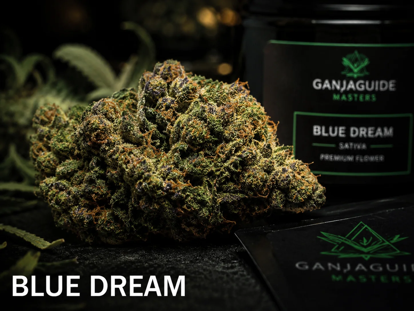 Illustratieve macrofoto van een gelabelde Blue Dream cannabisbloem