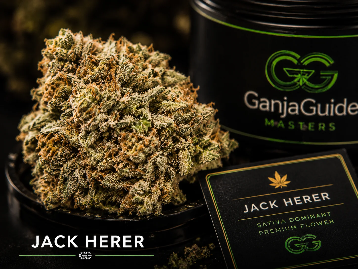 Illustratieve macrofoto van een gelabelde Jack Herer cannabisbloem