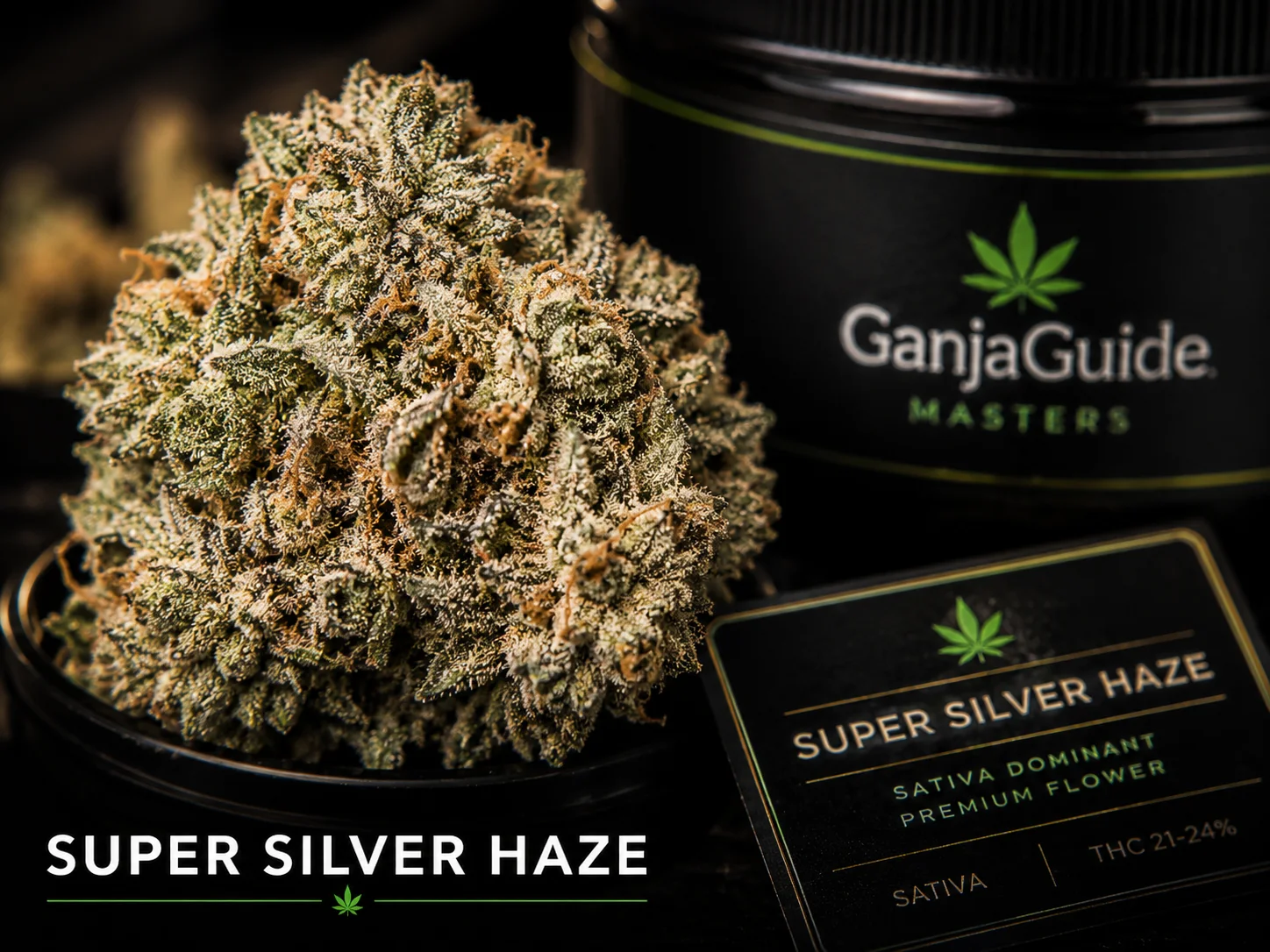 Illustratieve macrofoto van een gelabelde Super Silver Haze cannabisbloem